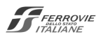 FSI